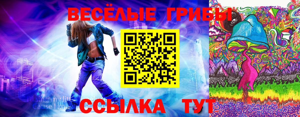 Галлюциногенные грибы MAGIC MUSHROOMS  купить   Александров  Галлюциногенные грибы мицелий  Вход с VPN 